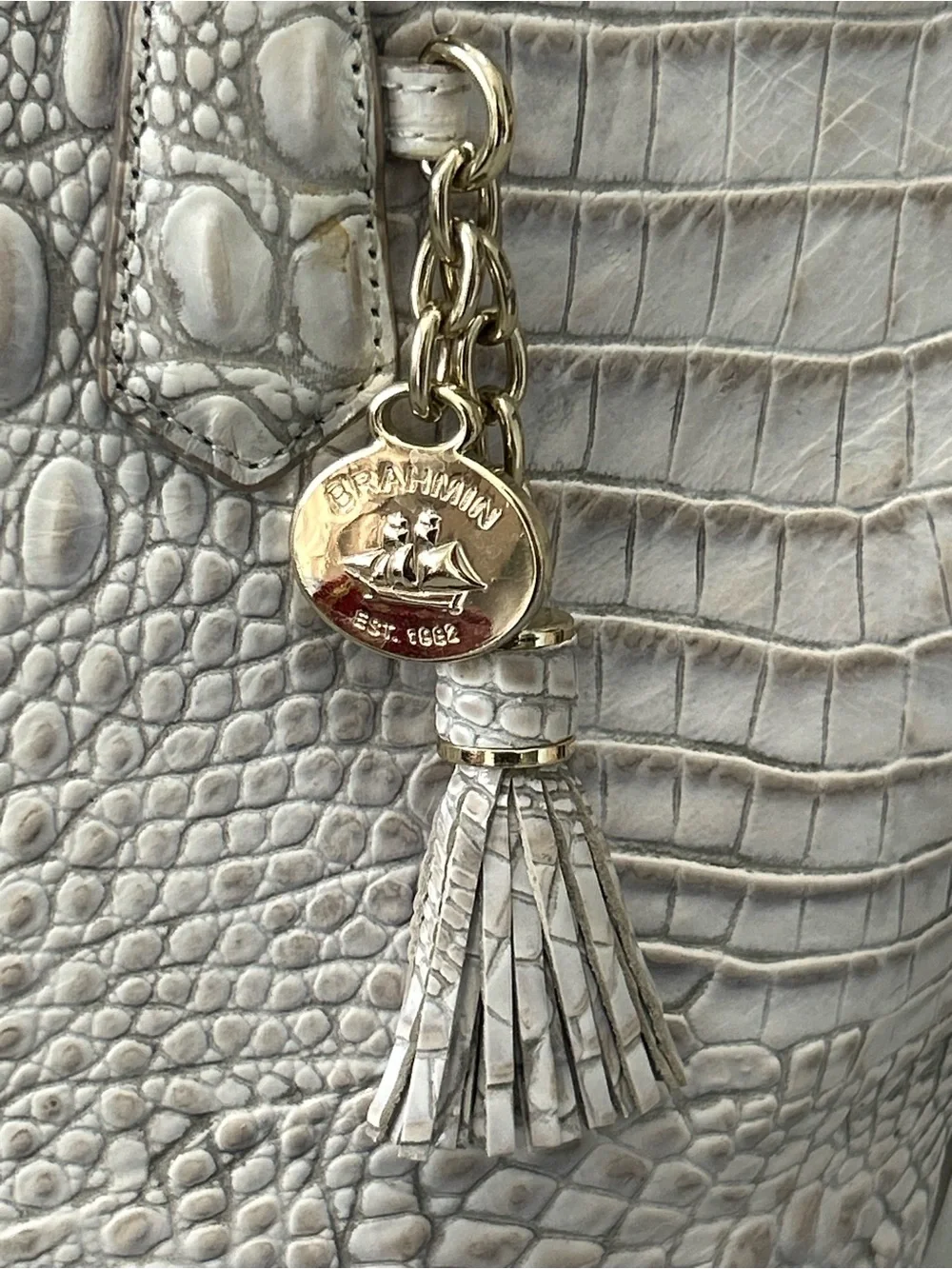 Brahmin preowned well
